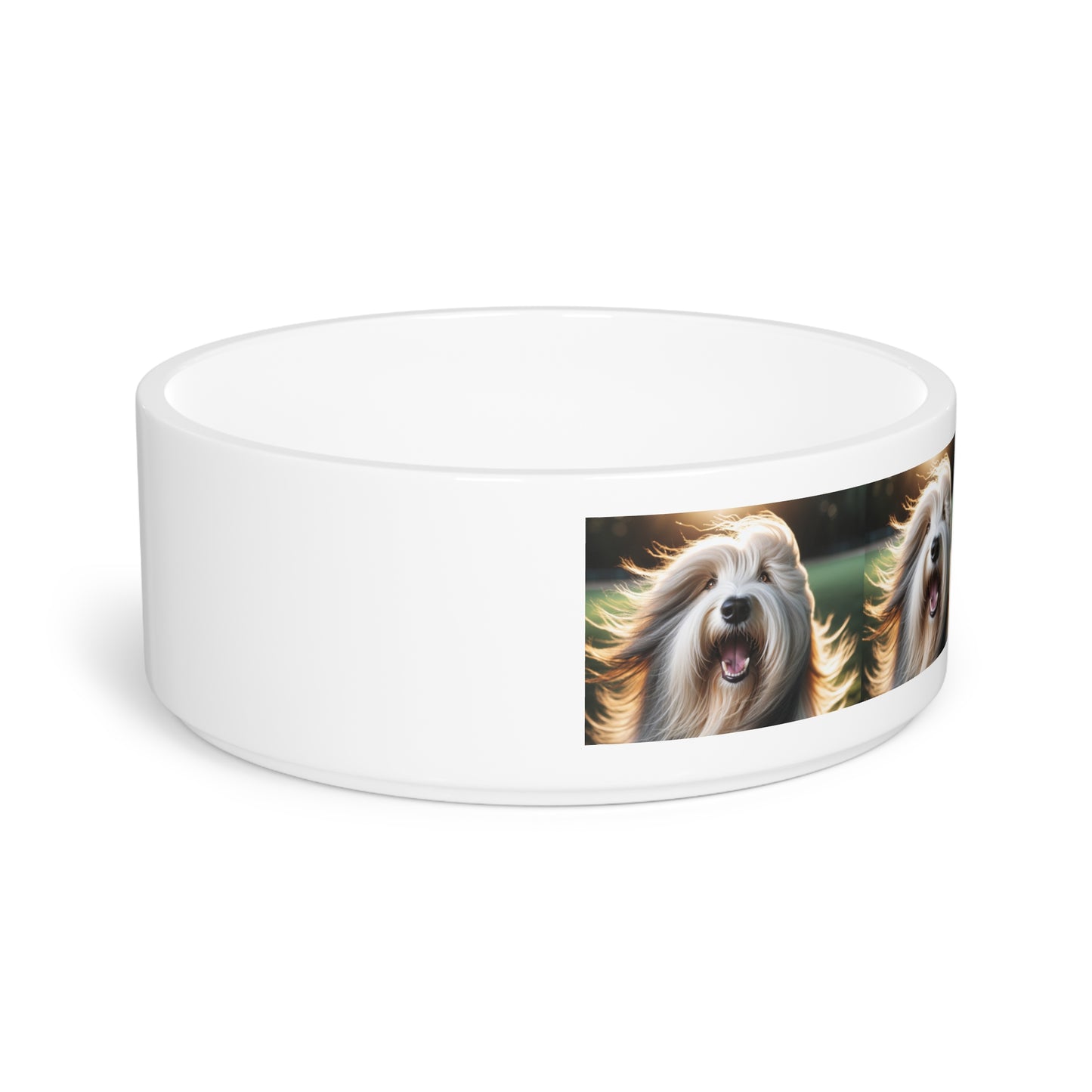 Bearded Collie Pet Bowl