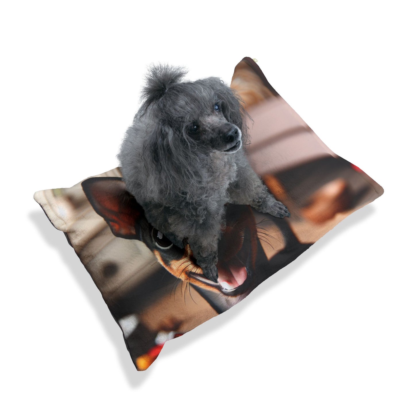 English Toy Terrier Pet Bed