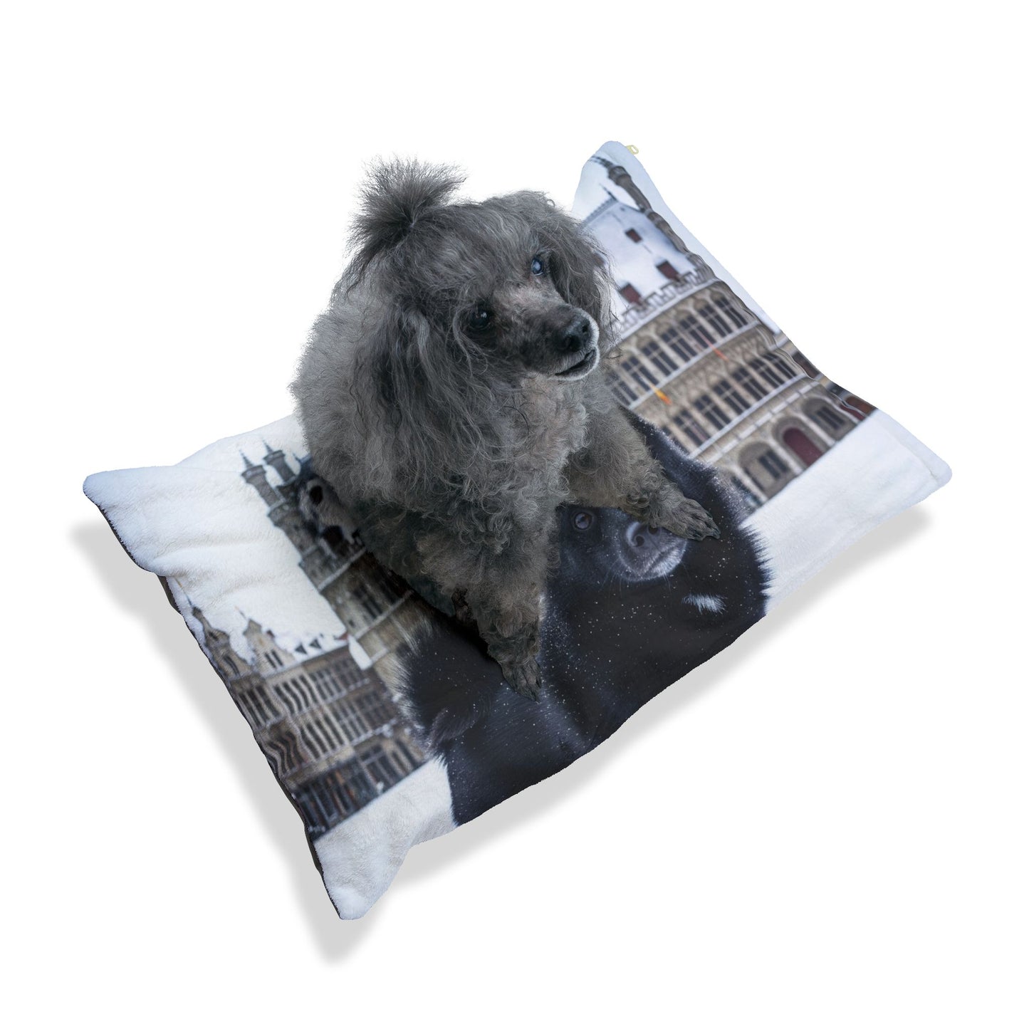 Schipperke Pet Bed