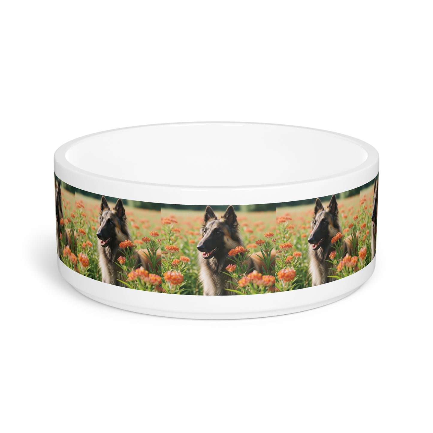 Belgian Tervuren Pet Bowl