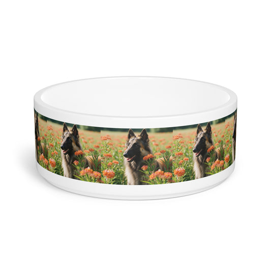 Belgian Tervuren Pet Bowl
