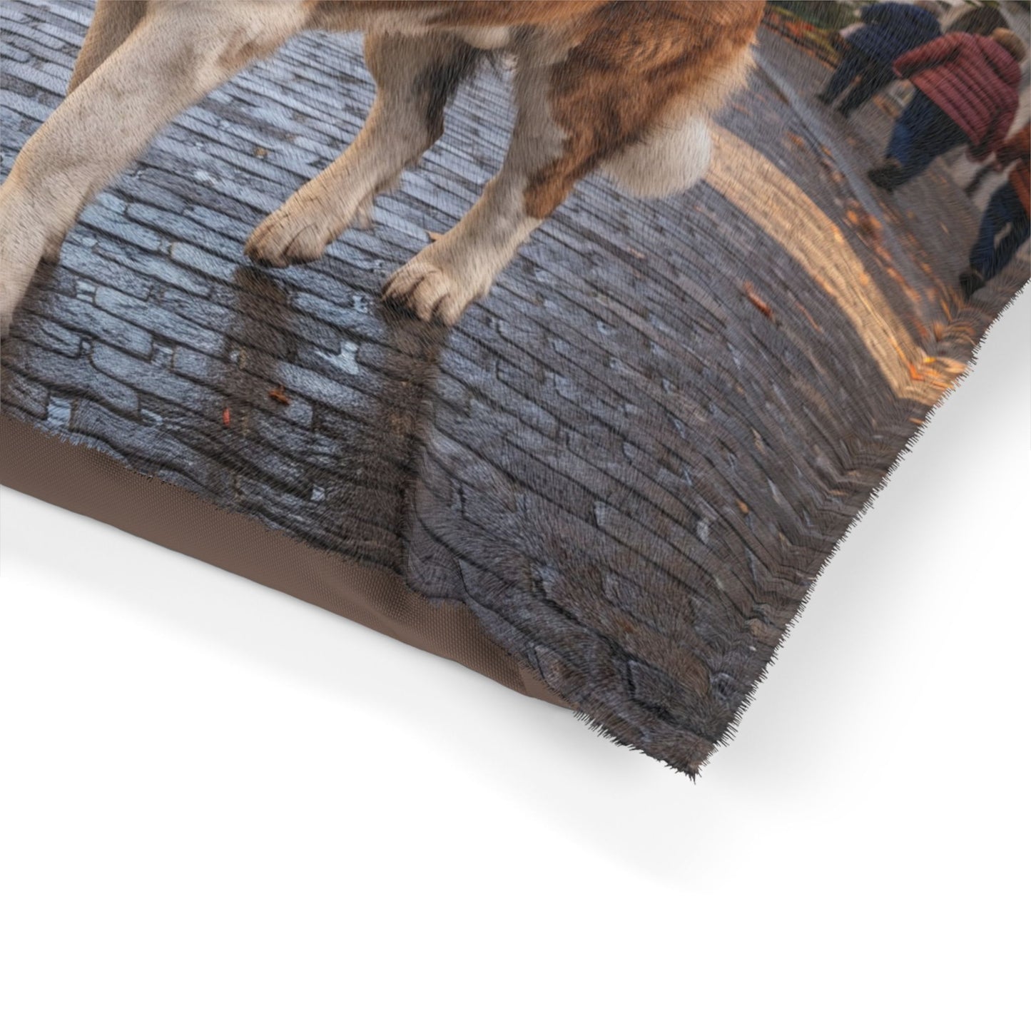 Saint Bernard Pet Bed