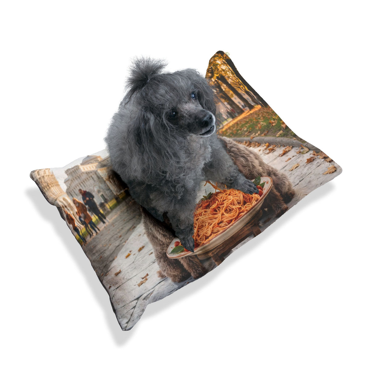 Lagotto Romagnolo Pet Bed