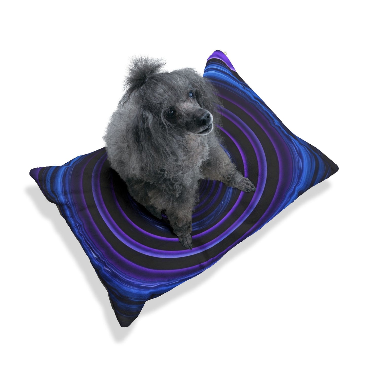 Optical Illusion Pet Bed