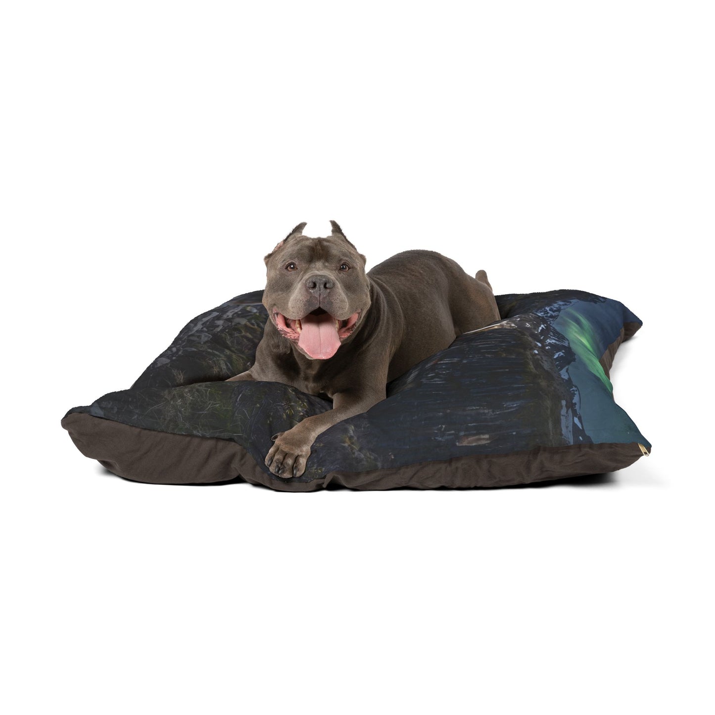 Icelandic Sheepdog Pet Bed