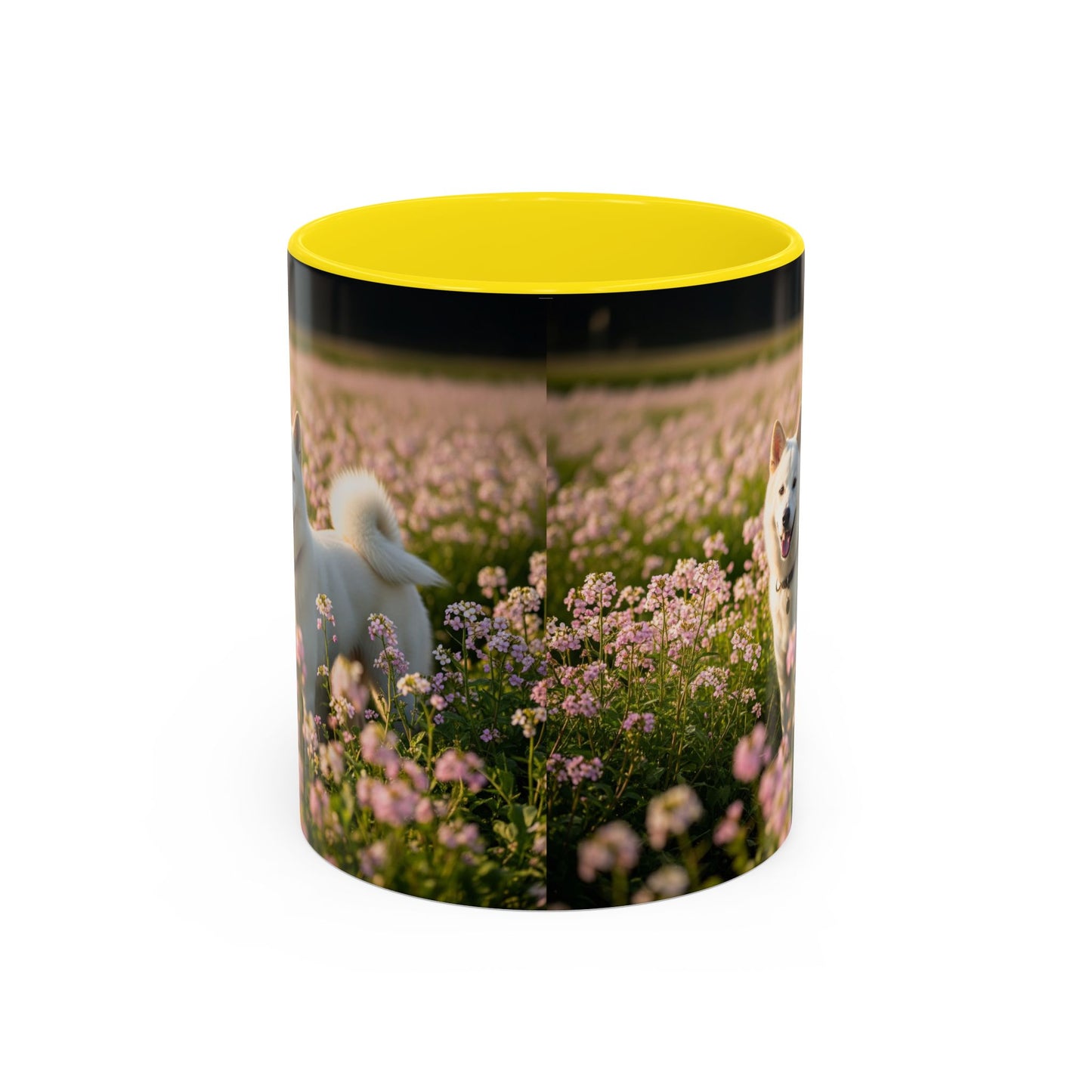Mug Kishu Ken Accent Coffee - Cadeau idéal pour les amoureux des chiens