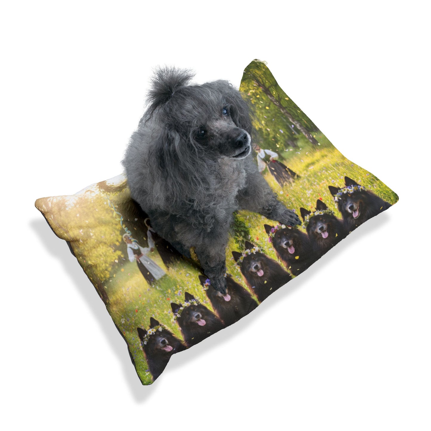 Swedish Lapphund Pet Bed