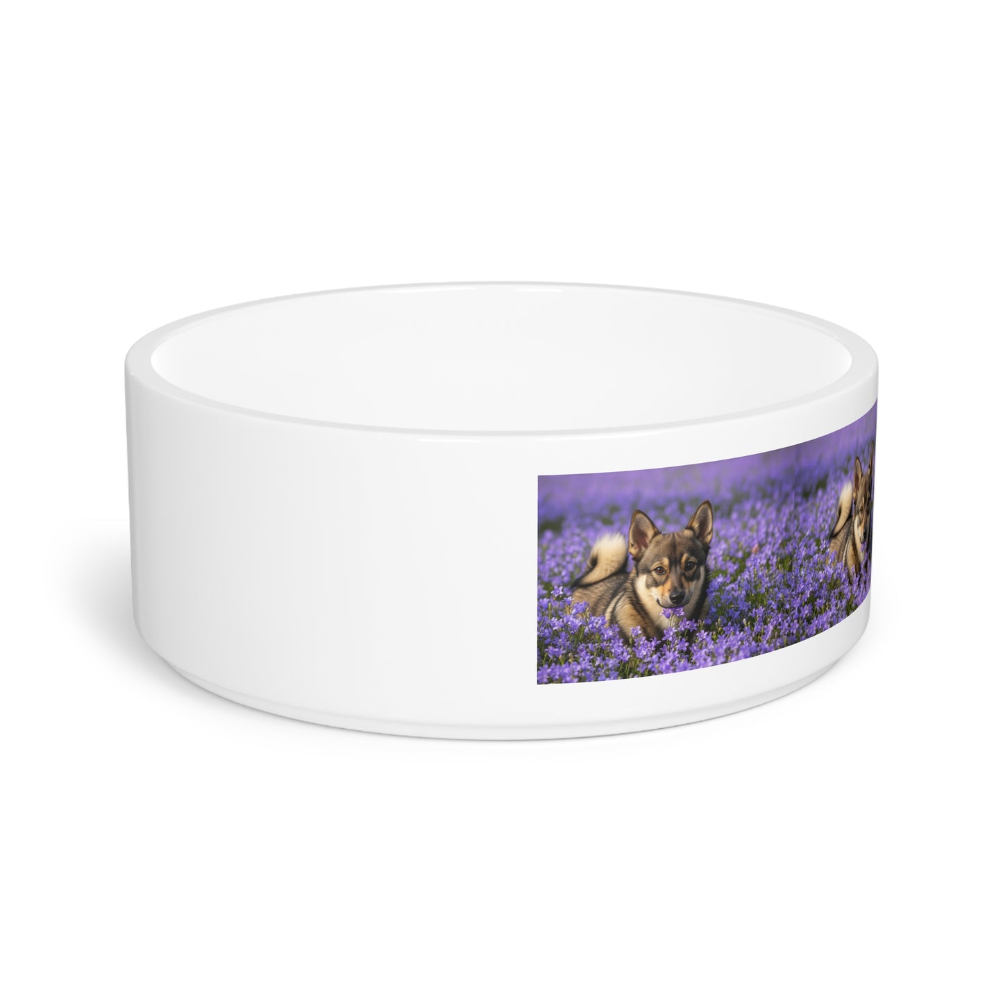 Swedish Vallhund Pet Bowl