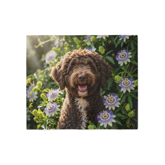 Spanish Water Dog Sweatshirt Blanket