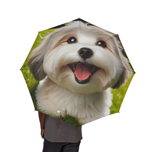 Havamalt Semi-Automatic Foldable Umbrella