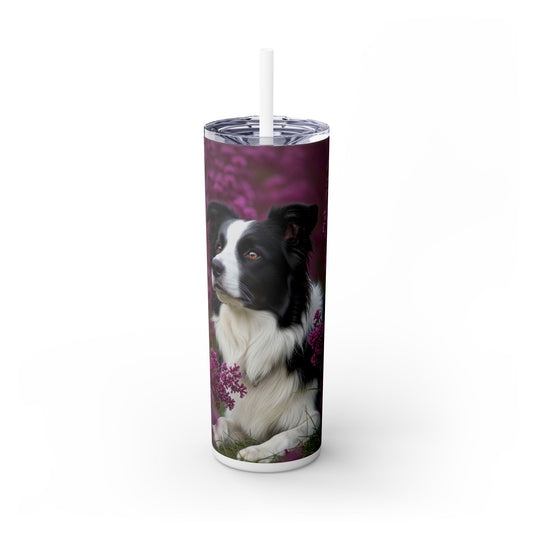 Border Collie Skinny Tumbler with Straw, 20oz