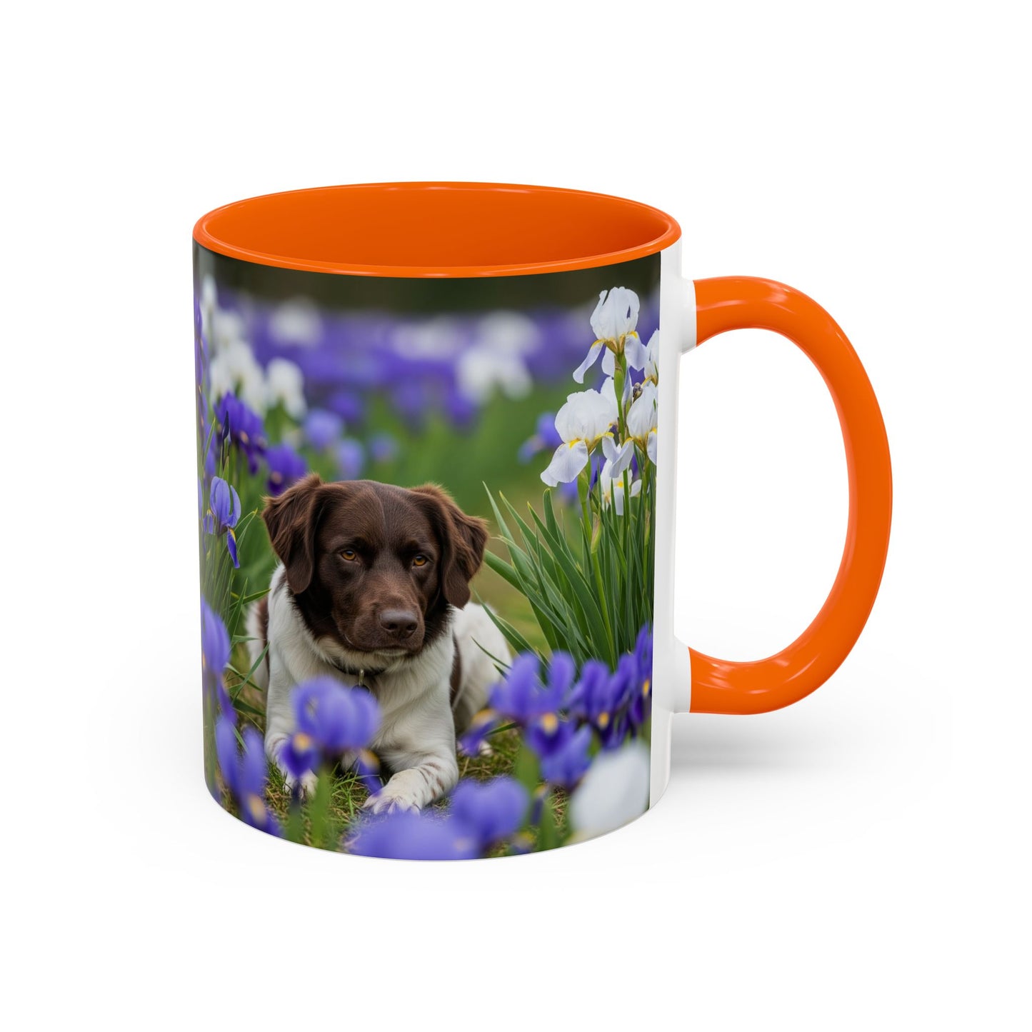 Mug Stabyhouns Accent - Cadeau idéal pour les amoureux des chiens