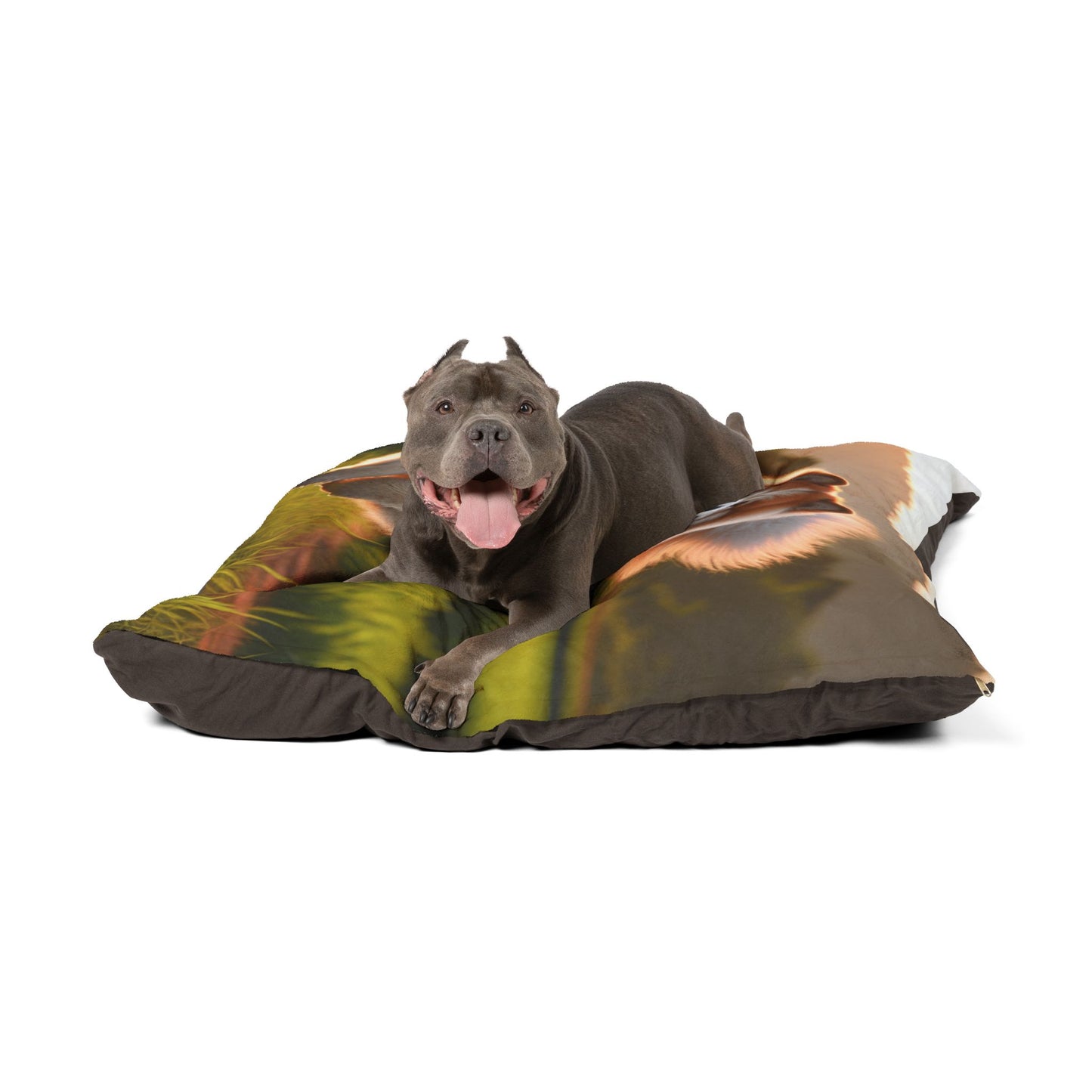 Thai Bangkaew Pet Bed