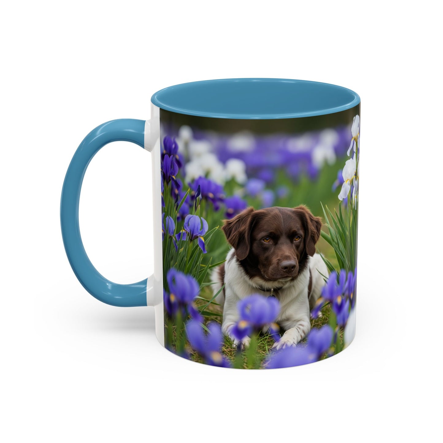 Mug Stabyhouns Accent - Cadeau idéal pour les amoureux des chiens