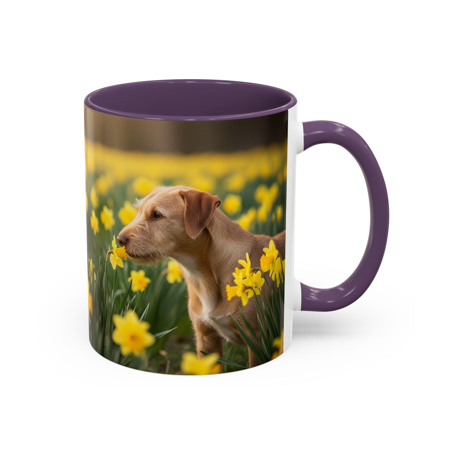 Mug à café avec motif Podengo Pequeno portugais - Cadeau idéal pour les amoureux des chiens