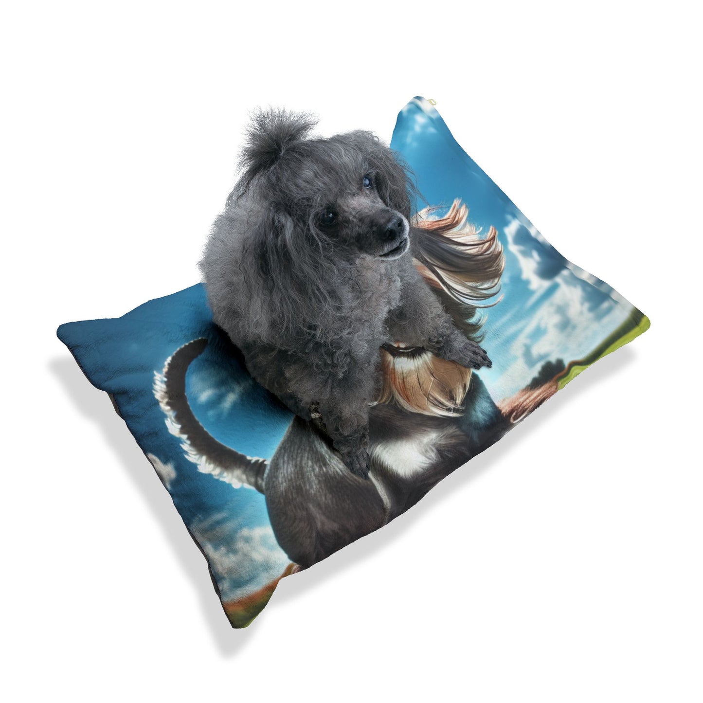 Lit standard pour Schnauzer
