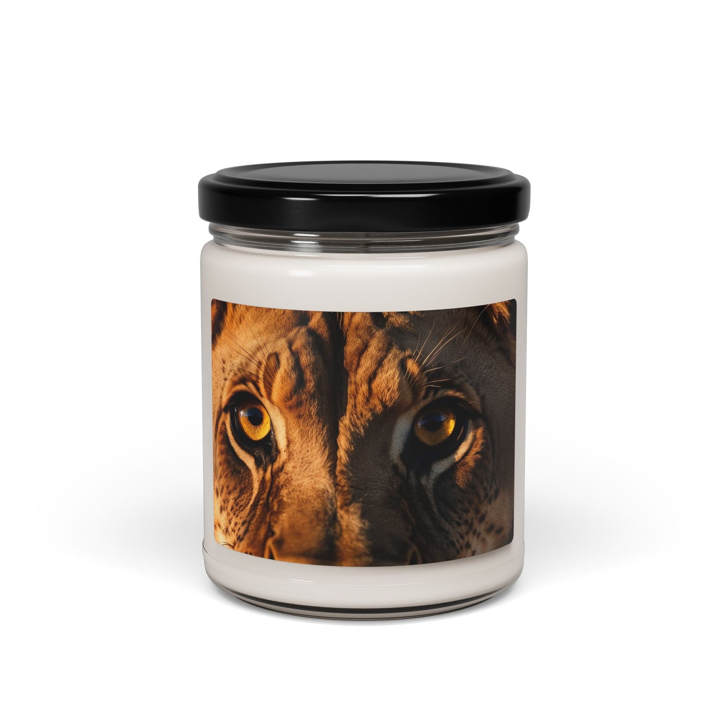 Close Up of a Lion's Eye- Scented Soy Candle, 9oz