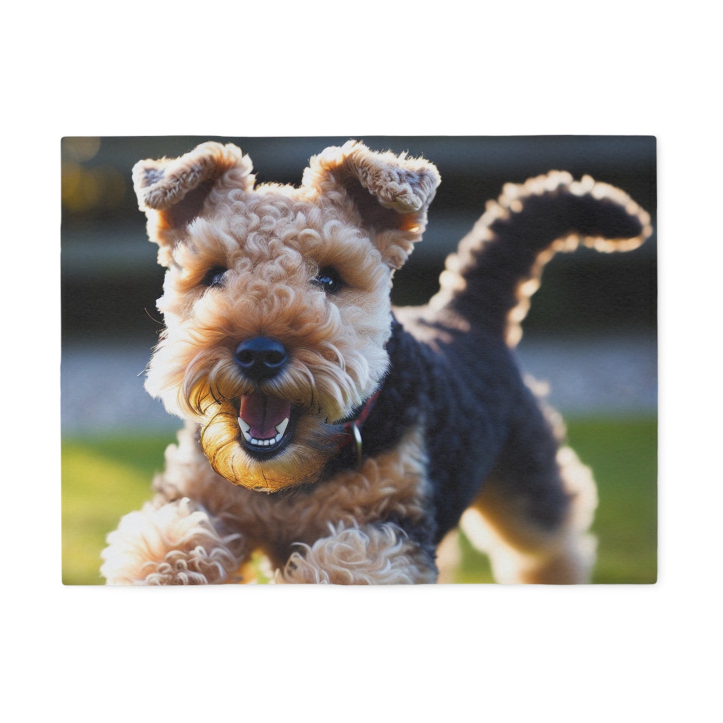 Lakeland Terrier Sweatshirt Blanket