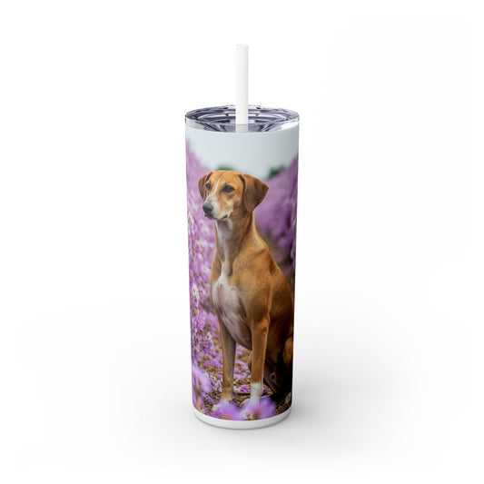 Banjara Hound Tumbler with Straw, 20oz