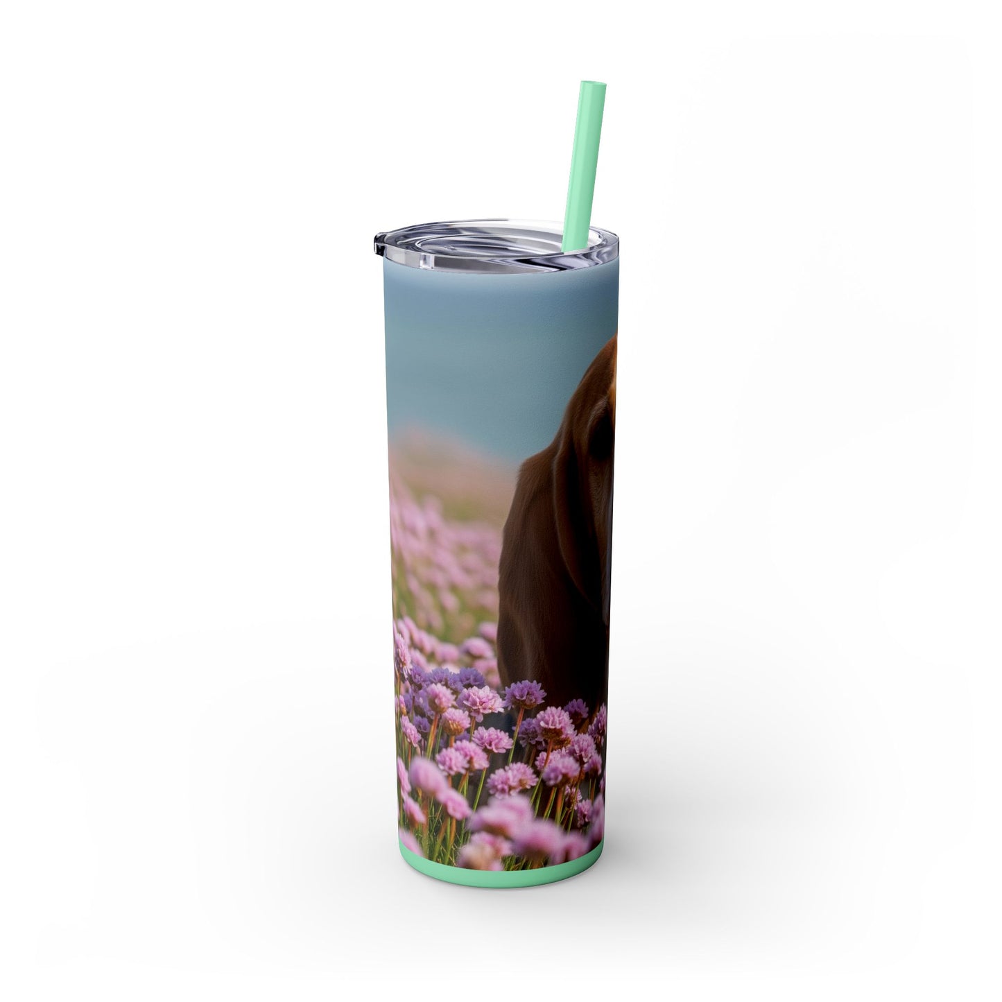 Basset Fauve de Bretagne Skinny Tumbler with Straw, 20oz