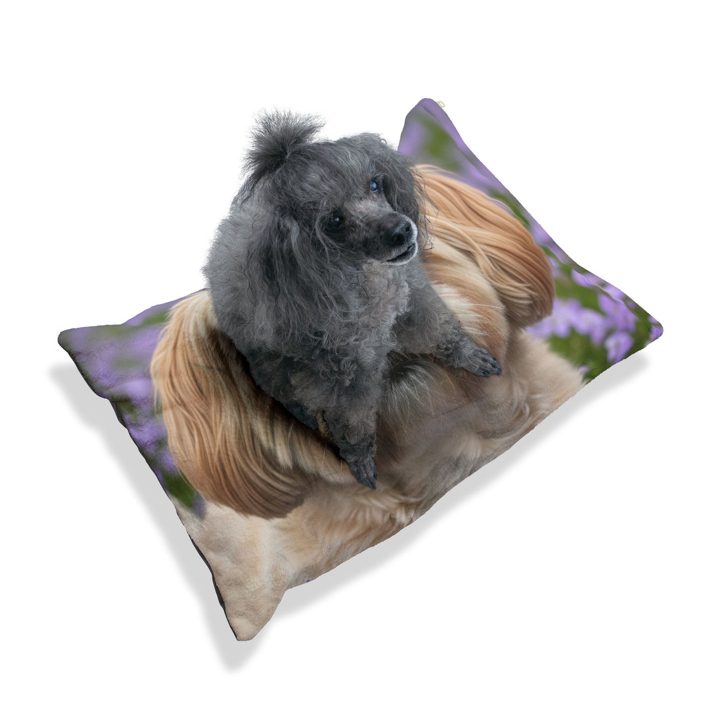 Cama para mascotas Shih-poo