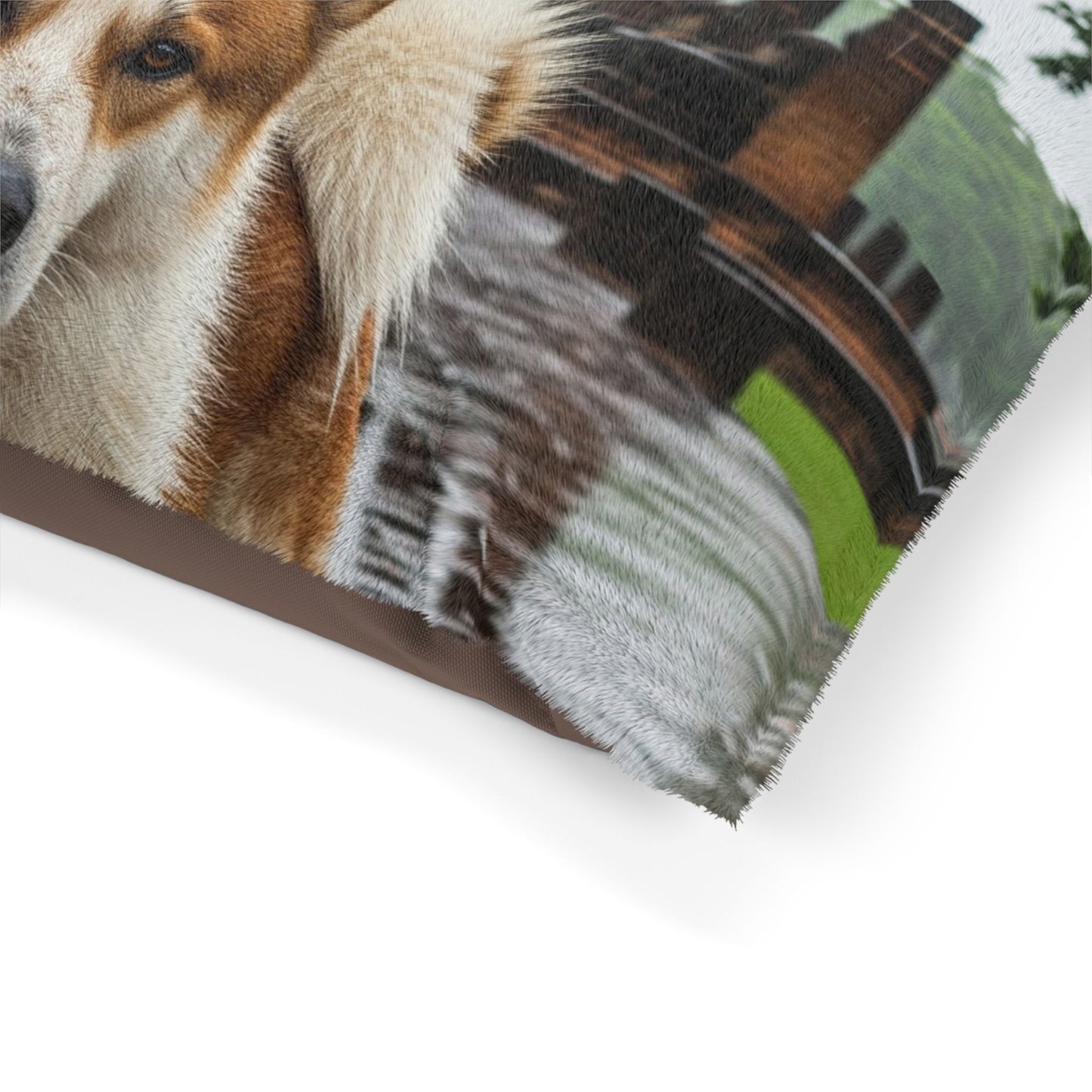 Thai Bangkaew Dog Pet Bed
