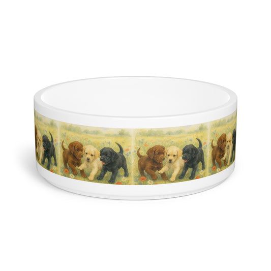 Labrador Retriever puppies Pet Bowl