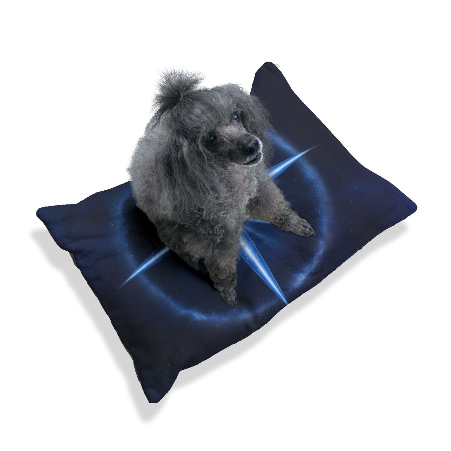 North Star Pet Bed