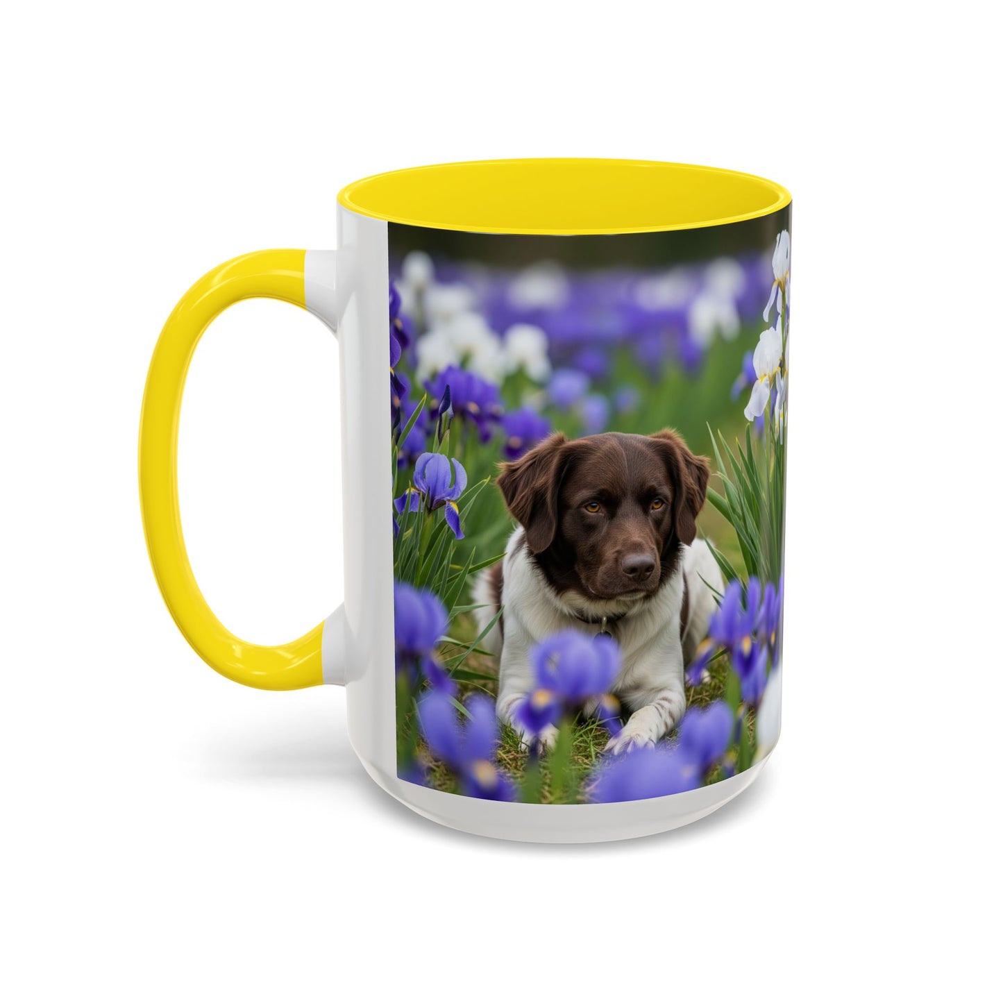 Mug Stabyhouns Accent - Cadeau idéal pour les amoureux des chiens