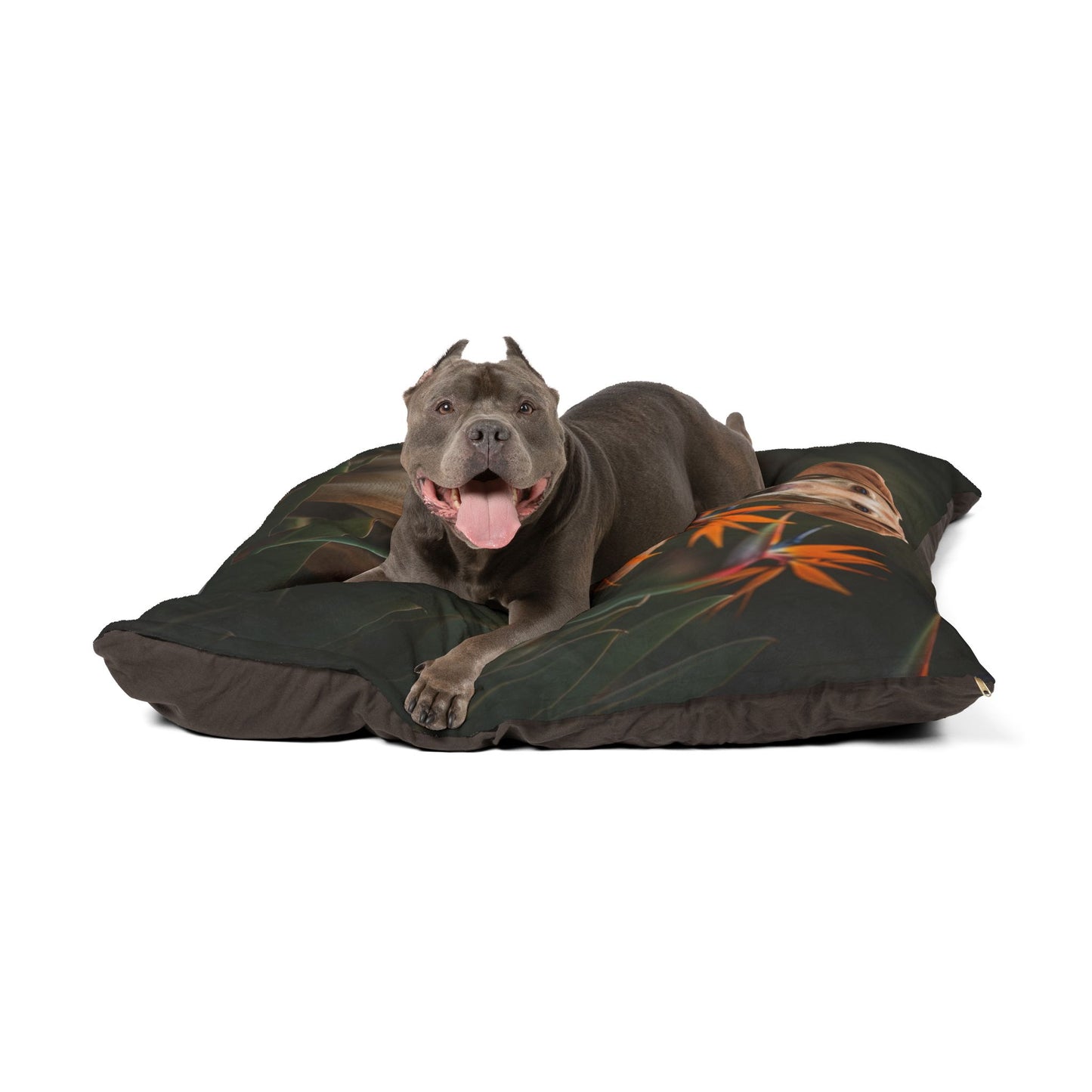 Azawakh Pet Bed