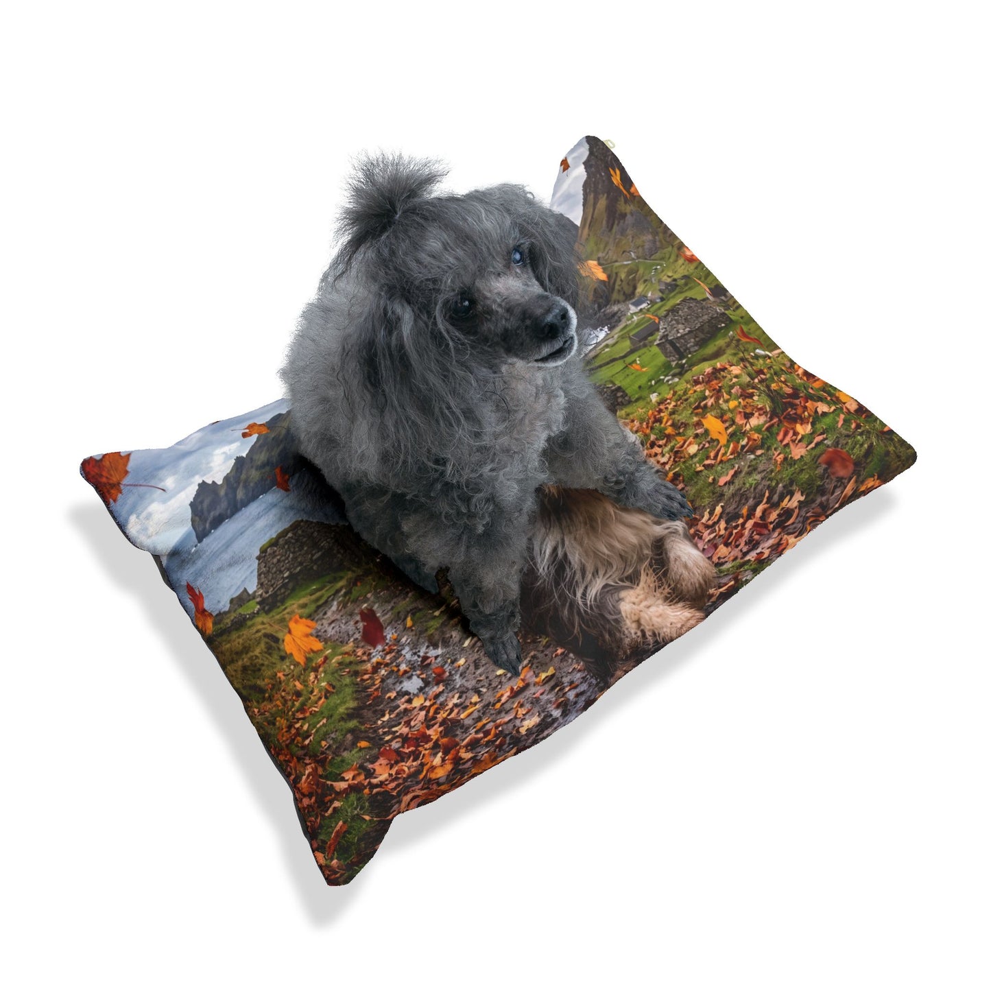 Bearded Collie Pet Bed
