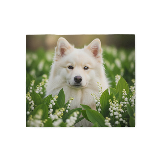 Finnish Lapphund Sweatshirt Blanket