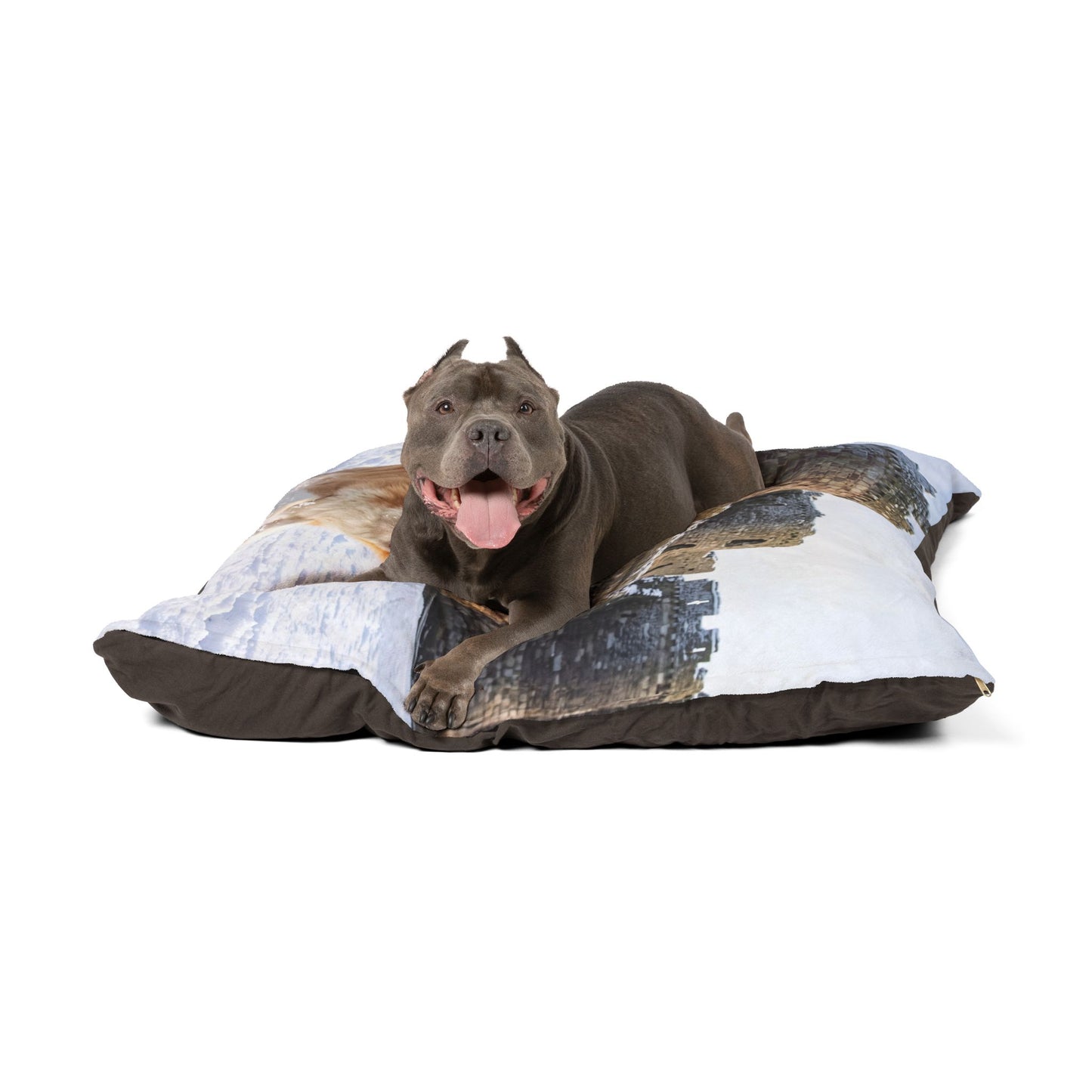 Welsh Corgi Pet Bed
