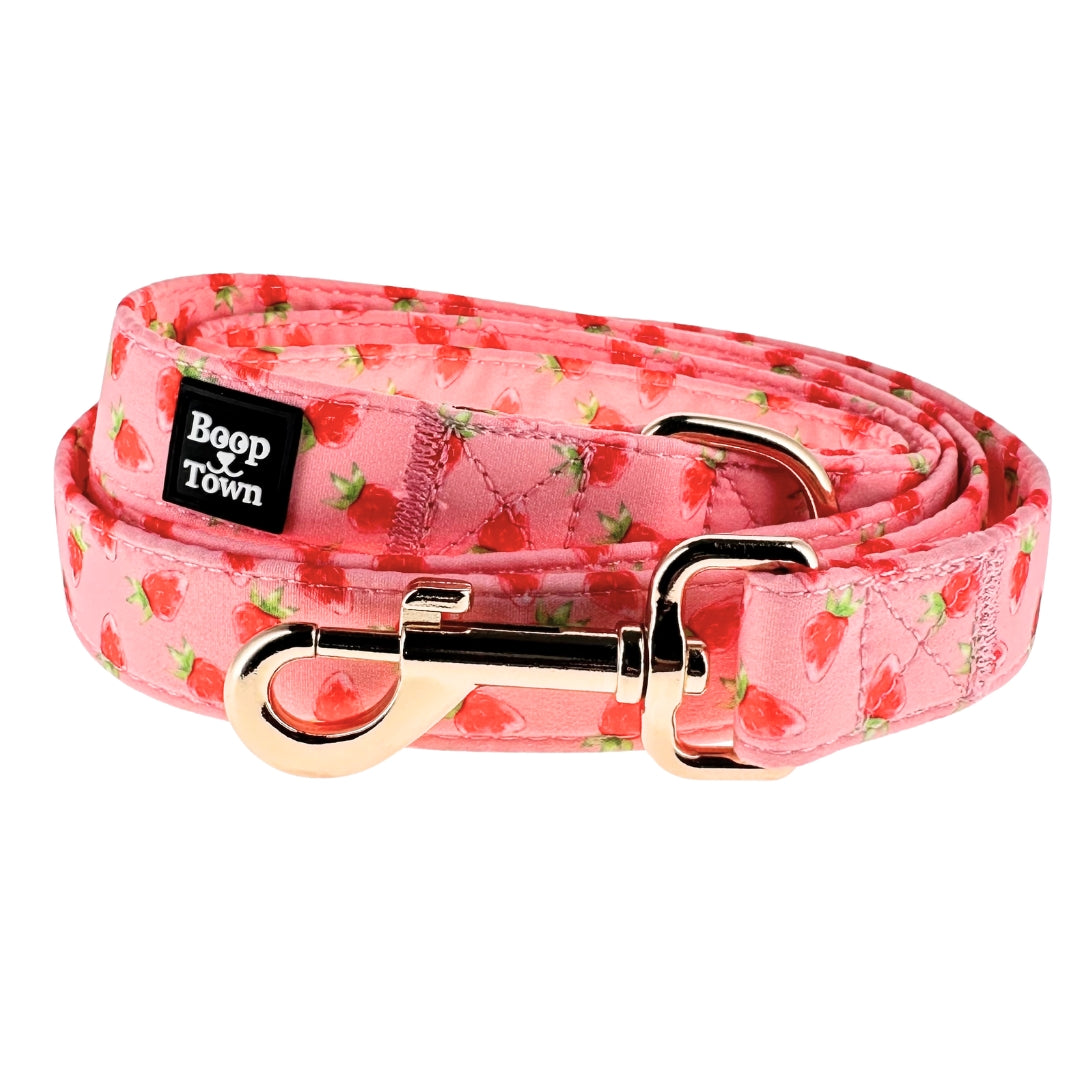 laisses pour chiens