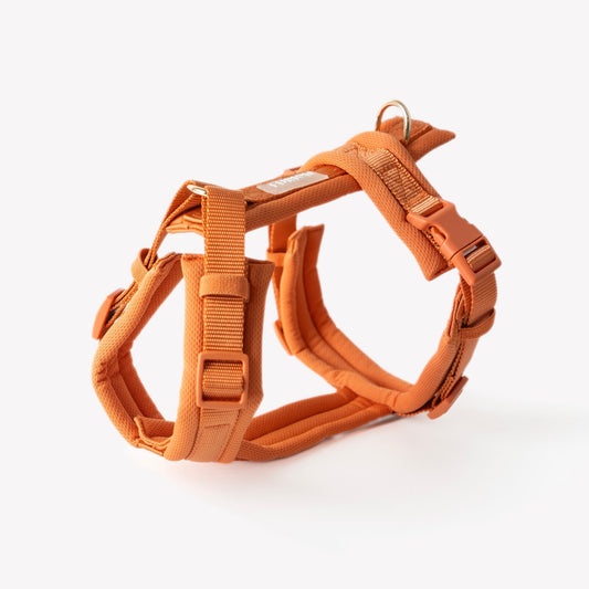 Terracotta - Harnais pour chien confort