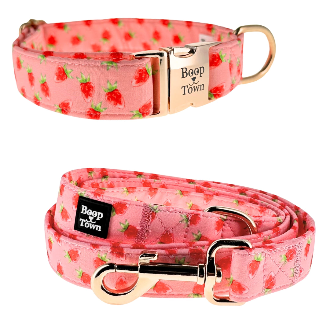 Ensembles collier et laisse pour chien