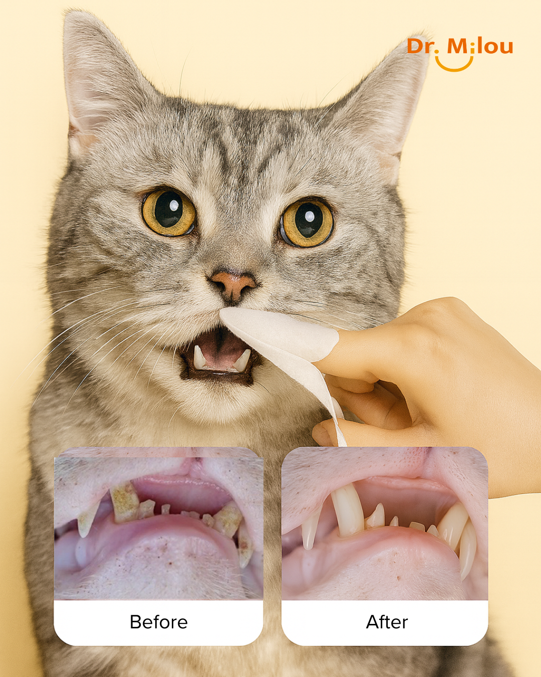 Toallitas dentales para dedos Dr. Milou para mascotas: cuidado bucal diario para perros y gatos