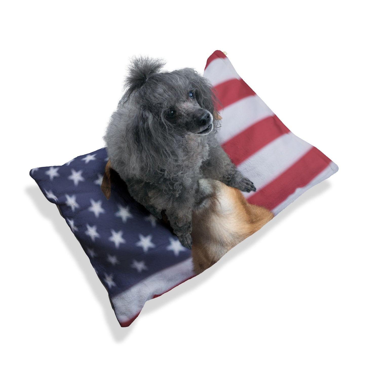 American Staghound Patriotic Bed