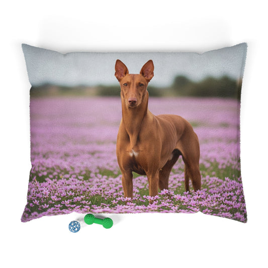 Pharaoh Hound Pet Bed