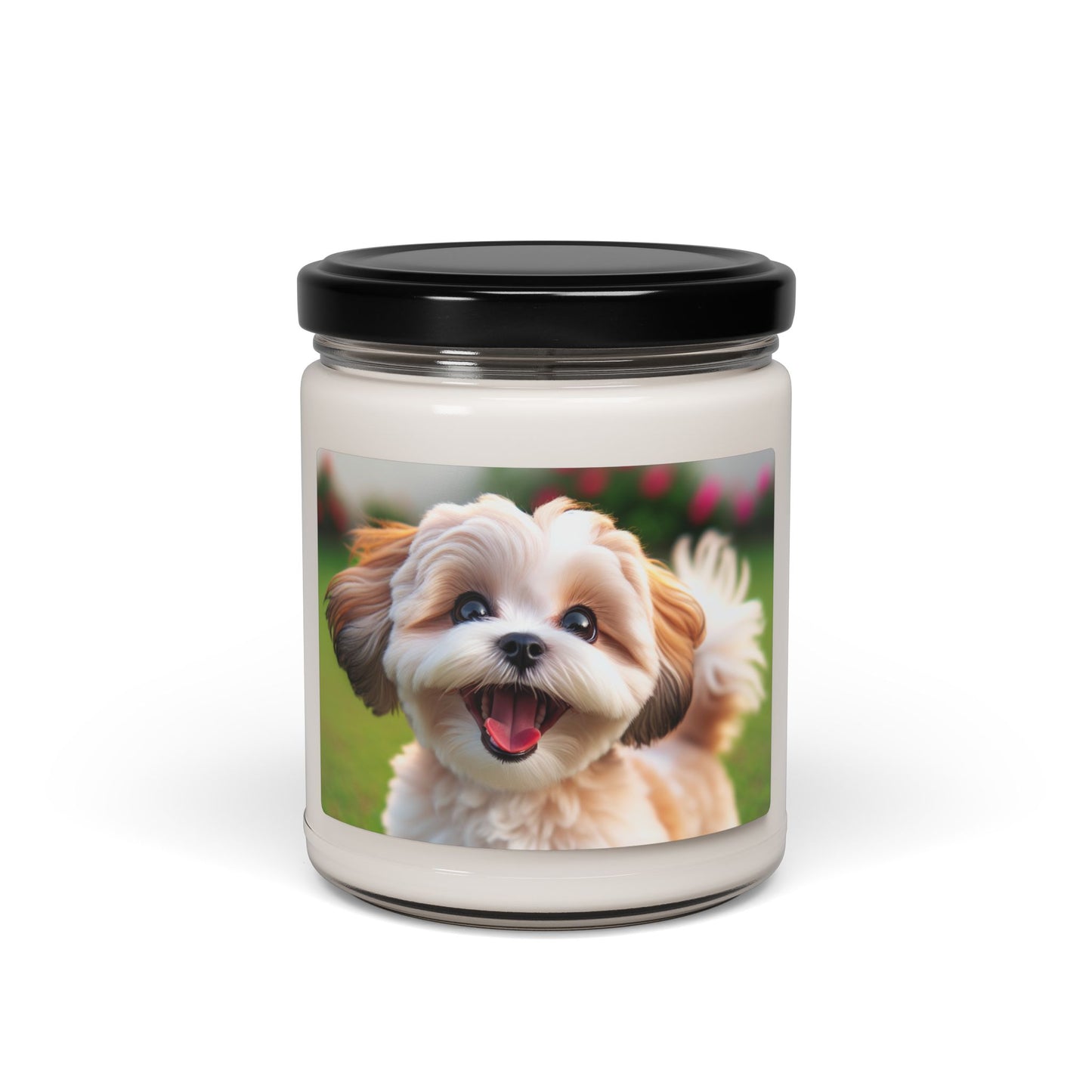 Shih-poo- Scented Soy Candle, 9oz