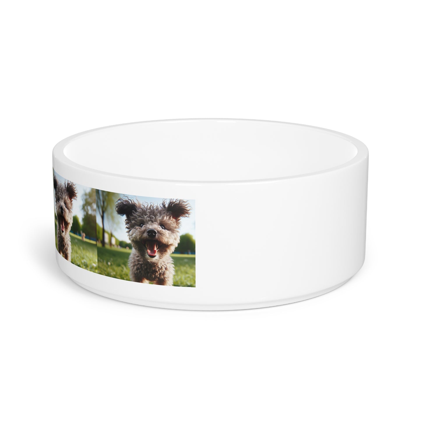 Pumi Pet Bowl