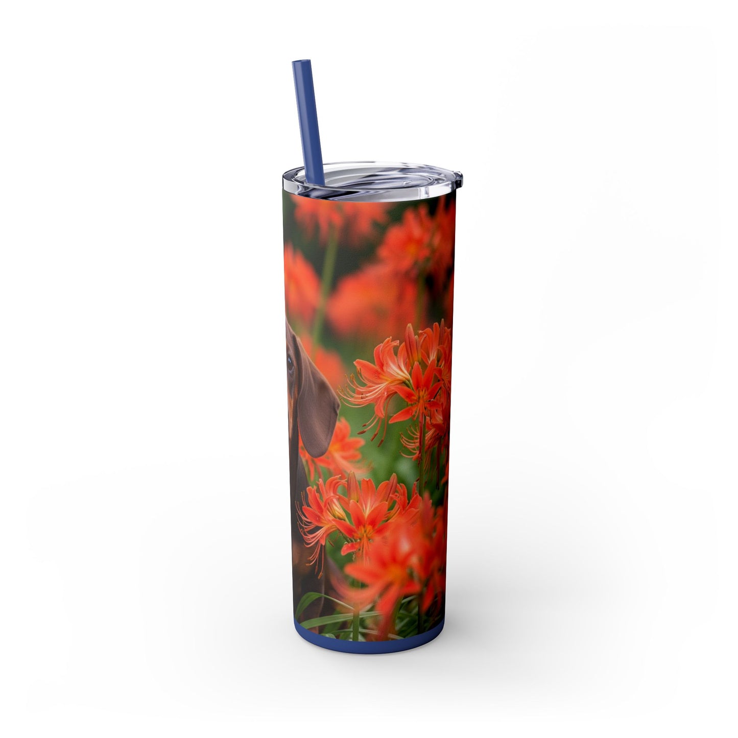 Gobelet isotherme Teckel avec paille, 590 ml