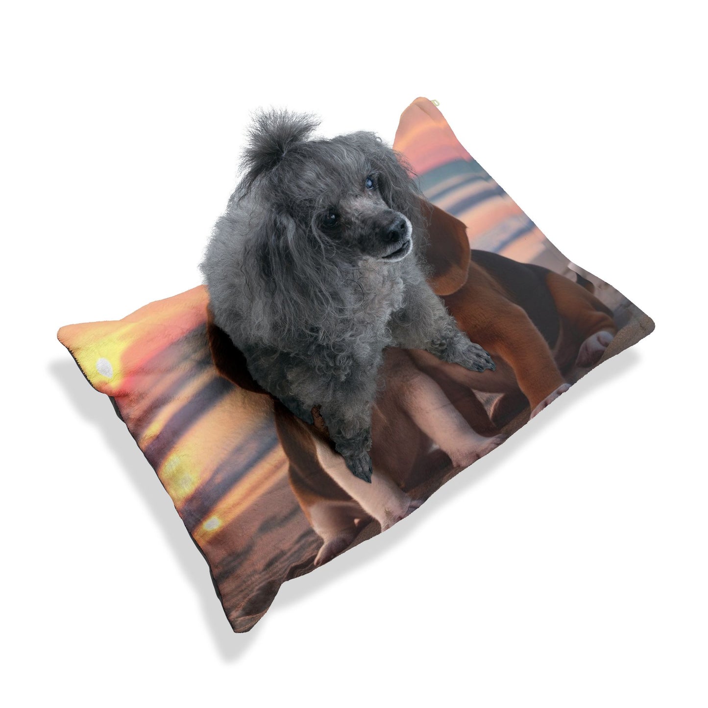 Beagle Love Pet Bed