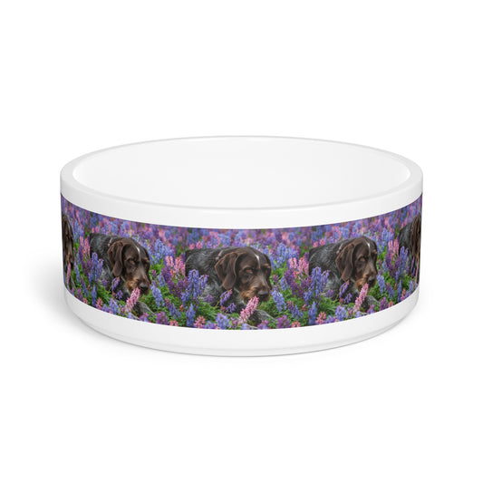 Wirehaired Slovakian Pointer Pet Bowl