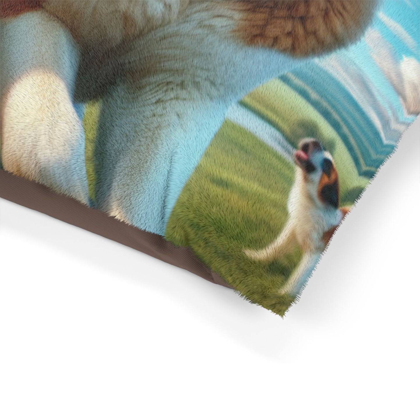 Saint Bernard Pet Bed