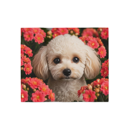 Miniature Poodle Sweatshirt Blanket