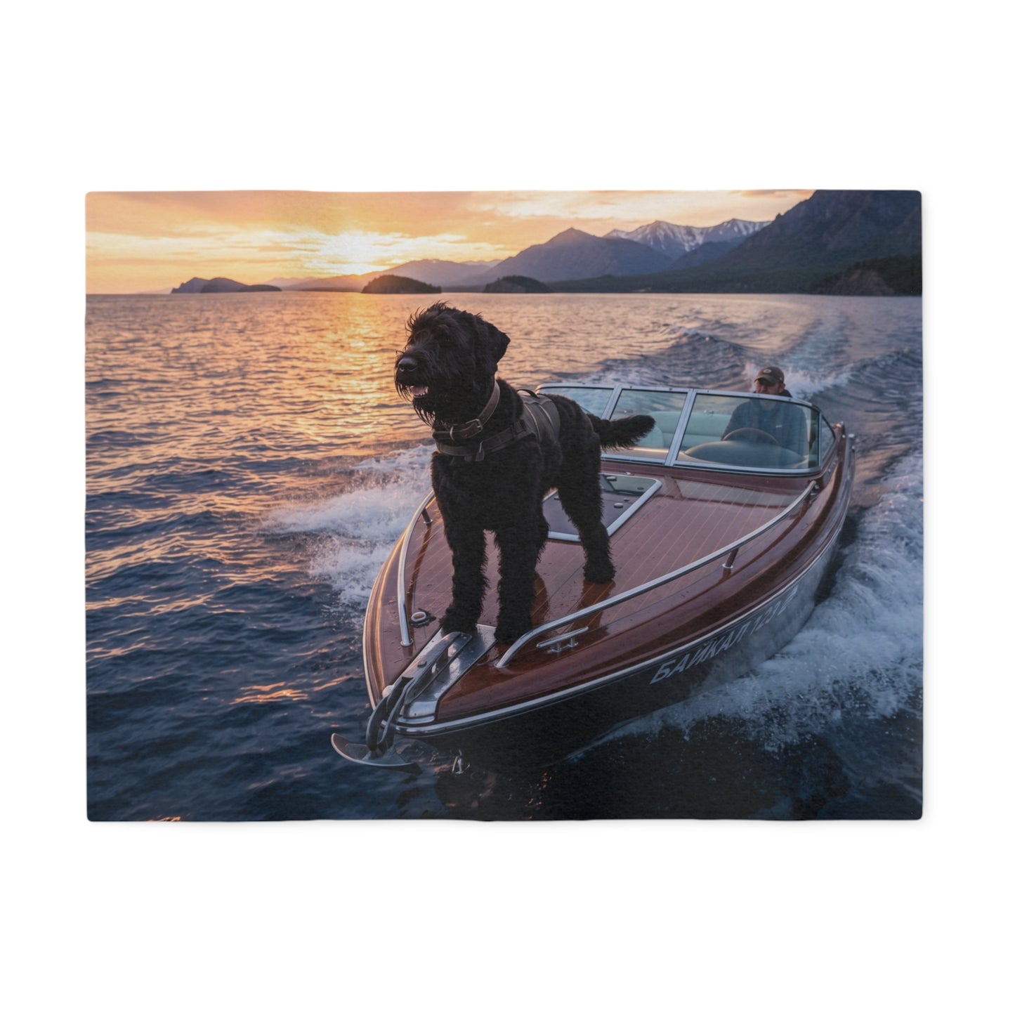 Black Russian Terrier Blanket