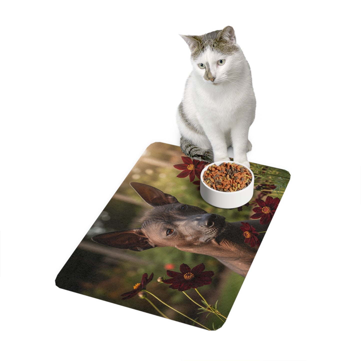 Pet Food Mat (12x18) - Xoloitzcuintli