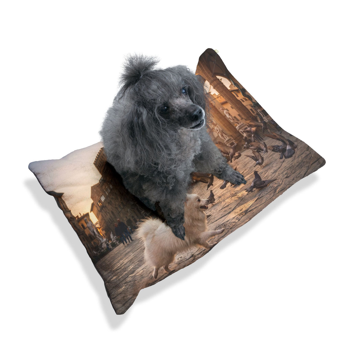 Volpino Italiano Pet Bed