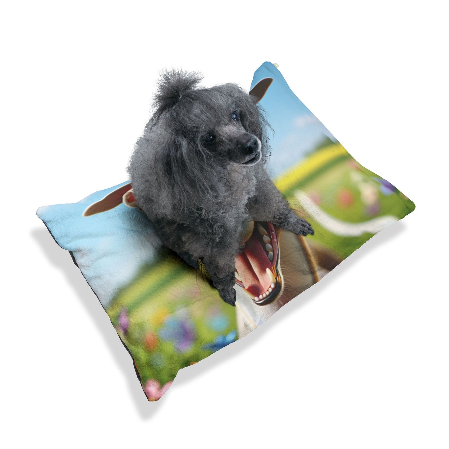 Whippet Pet Bed